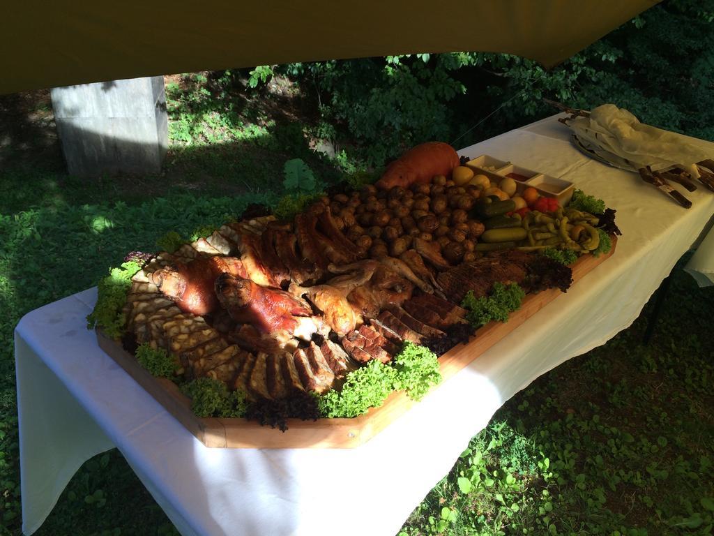 Penzion Modry Dom Modra Oda fotoğraf